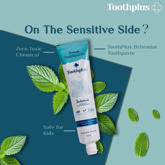 Britemint Toothpaste and Bamboo Toothbrush